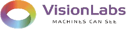 VisionLabs