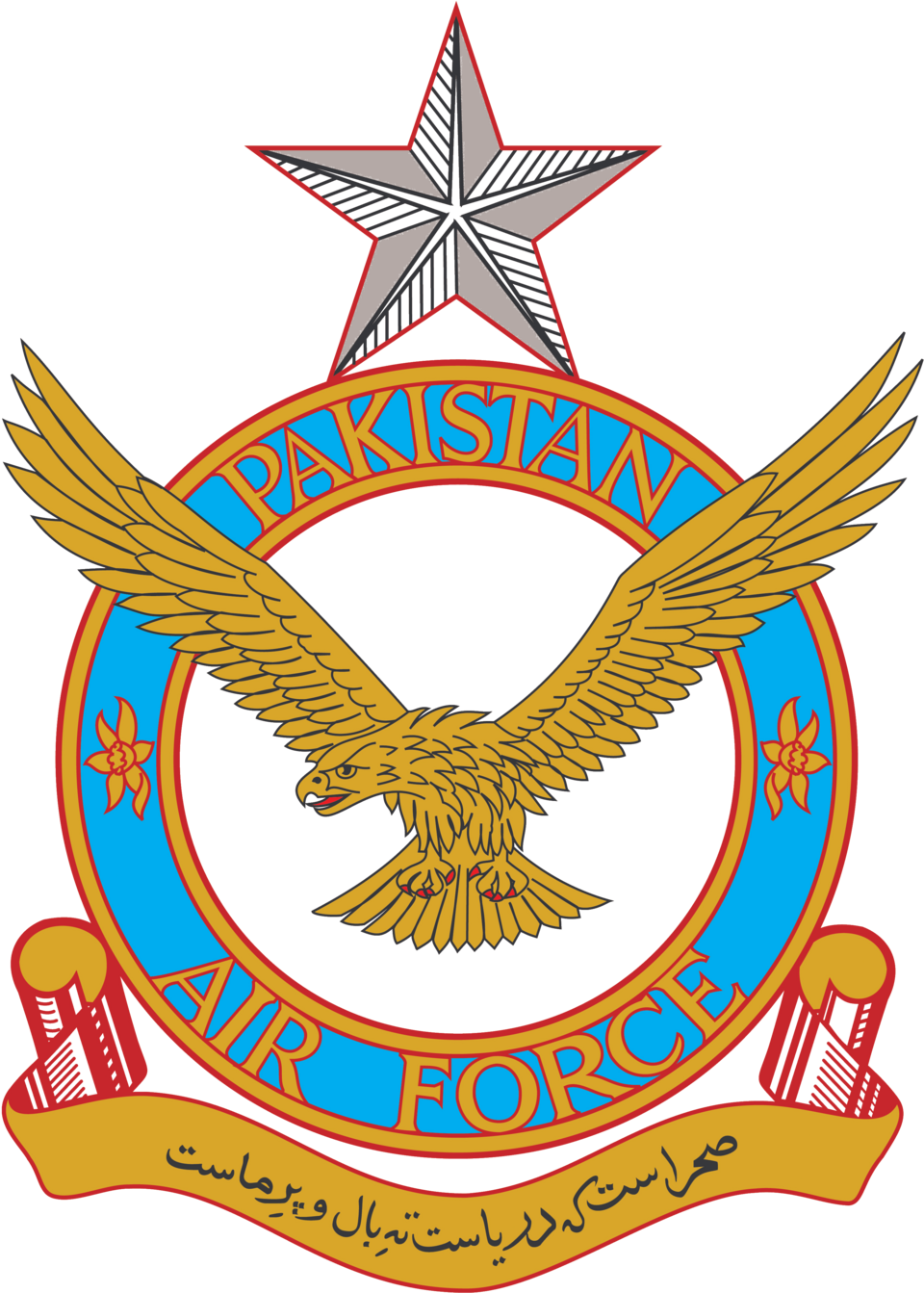 Pakistan Air Force Logo